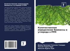 Capa do livro de Количественное определение биомассы и углерода в PPM 