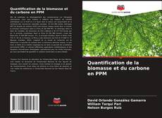 Quantification de la biomasse et du carbone en PPM kitap kapağı