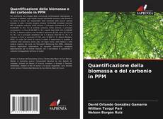 Capa do livro de Quantificazione della biomassa e del carbonio in PPM 