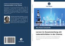 Portada del libro de Lernen im Zusammenhang mit Laboraktivitäten in der Chemie