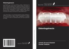 Portada del libro de Odontogénesis