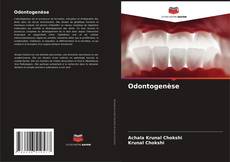 Borítókép a  Odontogenèse - hoz