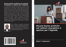 Alcune buone pratiche nel settore energetico e opzioni per l'Uganda的封面