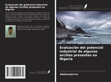 Copertina di Evaluación del potencial industrial de algunas arcillas presentes en Nigeria