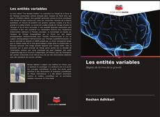 Les entités variables的封面