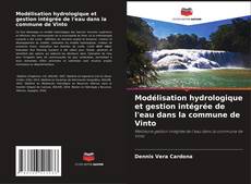 Bookcover of Modélisation hydrologique et gestion intégrée de l'eau dans la commune de Vinto