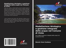 Capa do livro de Modellazione idrologica e gestione integrata delle acque nel Comune di Vinto 