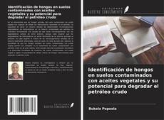 Bookcover of Identificación de hongos en suelos contaminados con aceites vegetales y su potencial para degradar el petróleo crudo