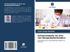 Schwermetalle im Urin von Bergarbeiterkindern kitap kapağı