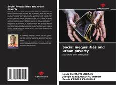 Capa do livro de Social inequalities and urban poverty 