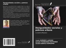 Desigualdades sociales y pobreza urbana kitap kapağı