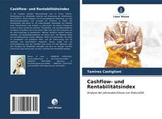 Buchcover von Cashflow- und Rentabilitätsindex