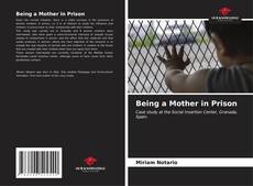 Capa do livro de Being a Mother in Prison 