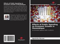 Effects of Public Spending on Economic Growth in Mozambique kitap kapağı