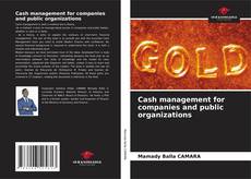 Couverture de Cash management for companies and public organizations