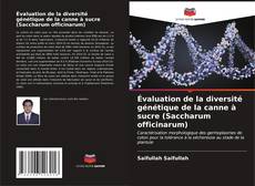 Évaluation de la diversité génétique de la canne à sucre (Saccharum officinarum) kitap kapağı
