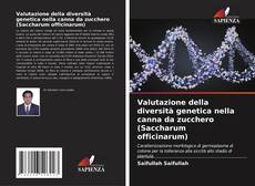 Bookcover of Valutazione della diversità genetica nella canna da zucchero (Saccharum officinarum)