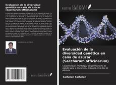 Capa do livro de Evaluación de la diversidad genética en caña de azúcar (Saccharum officinarum) 