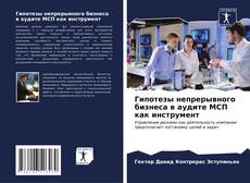 Bookcover of Гипотезы непрерывного бизнеса в аудите МСП как инструмент