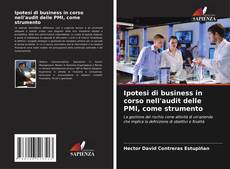 Portada del libro de Ipotesi di business in corso nell'audit delle PMI, come strumento