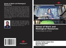 Capa do livro de Sense of Work and Noological Resources 