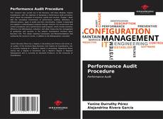Buchcover von Performance Audit Procedure
