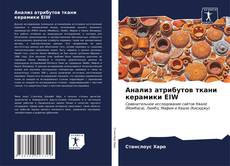 Анализ атрибутов ткани керамики EIW kitap kapağı