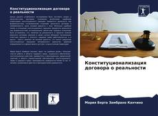 Bookcover of Конституционализация договора о реальности