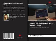 Capa do livro de Measuring Value at Risk using Copula Theory 