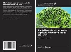 Capa do livro de Modelización del proceso agrícola mediante redes de Petri 