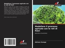 Capa do livro de Modellare il processo agricolo con le reti di Petri 