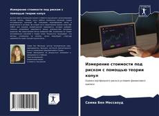 Обложка Измерение стоимости под риском с помощью теории копул