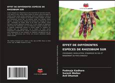 Buchcover von EFFET DE DIFFÉRENTES ESPÈCES DE RHIZOBIUM SUR