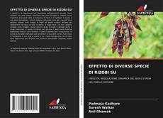 Bookcover of EFFETTO DI DIVERSE SPECIE DI RIZOBI SU