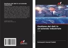 Bookcover of Gestione dei dati in un'azienda industriale