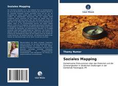Bookcover of Soziales Mapping