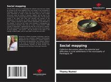 Capa do livro de Social mapping 