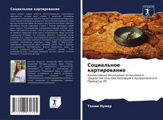 Bookcover of Социальное картирование