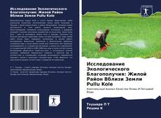 Bookcover of Исследование Экологического Благополучия: Жилой Район Вблизи Земли Pullu Kole