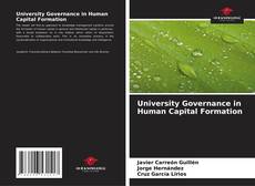 Capa do livro de University Governance in Human Capital Formation 