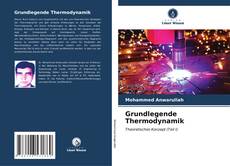 Capa do livro de Grundlegende Thermodynamik 