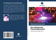 Grundlegende Thermodynamik kitap kapağı