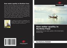 Capa do livro de Raw water quality in Burkina Faso 