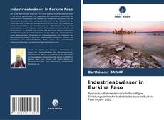Portada del libro de Industrieabwässer in Burkina Faso