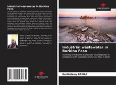 Buchcover von Industrial wastewater in Burkina Faso