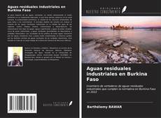 Обложка Aguas residuales industriales en Burkina Faso