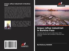Capa do livro de Acque reflue industriali in Burkina Faso 