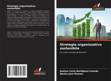 Обложка Strategia organizzativa sostenibile