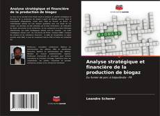 Couverture de Analyse stratégique et financière de la production de biogaz