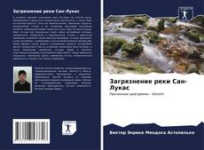 Bookcover of Загрязнение реки Сан-Лукас